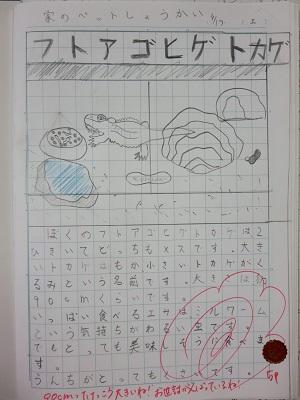 学校の様子 富士宮市立大富士小学校